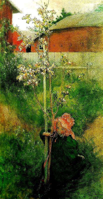 Carl Larsson kring appeltradet-appelblom oil painting image